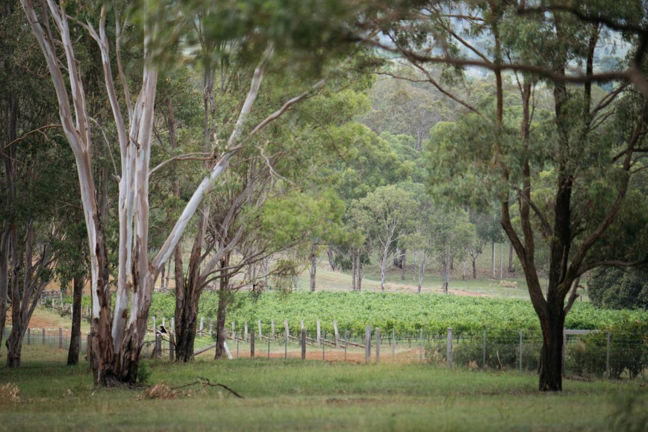 Elfin Hill Vineyard Accommodation Pokolbin Ngoại thất bức ảnh