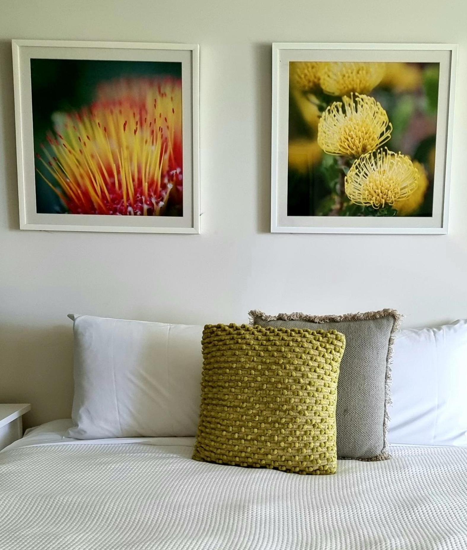 Elfin Hill Vineyard Accommodation Pokolbin Ngoại thất bức ảnh